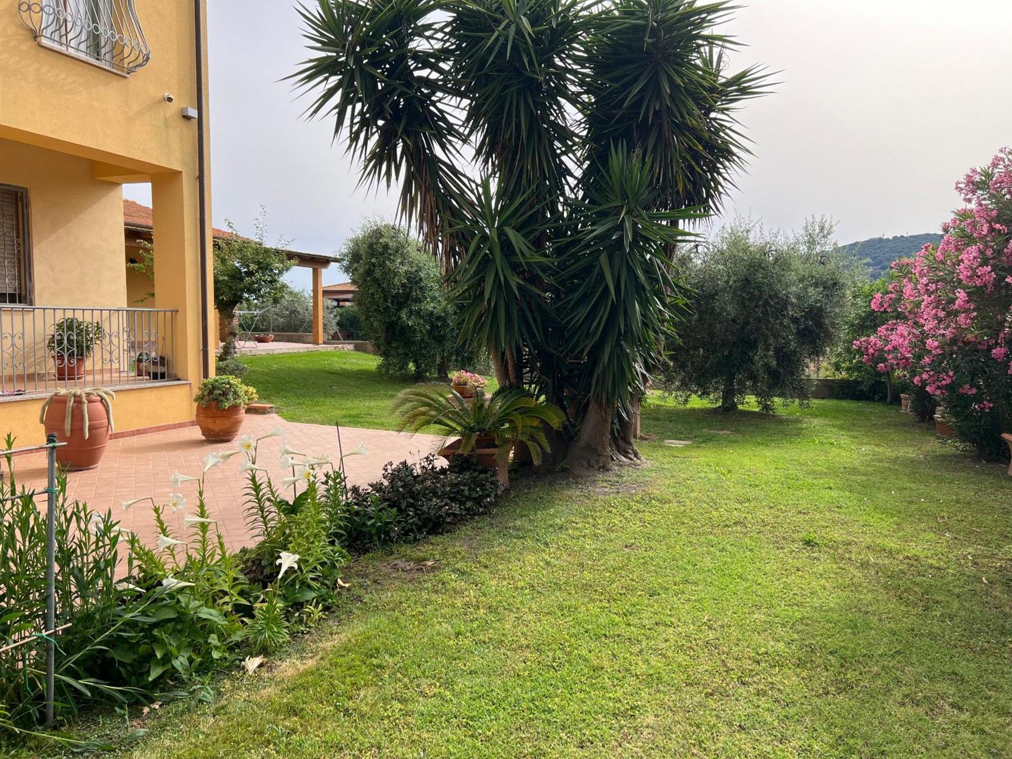 Agriturismo Il Giardino Degli Olivi Appartamenti Castiglione della Pescaia Exterior photo